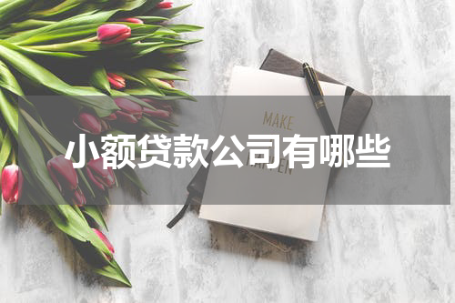 小额贷款公司有哪些