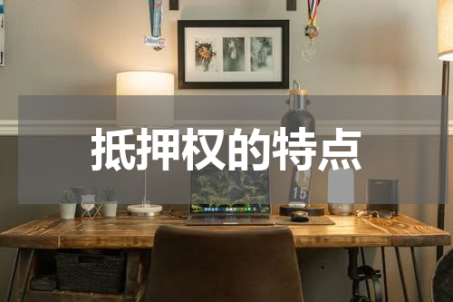 抵押权的特点