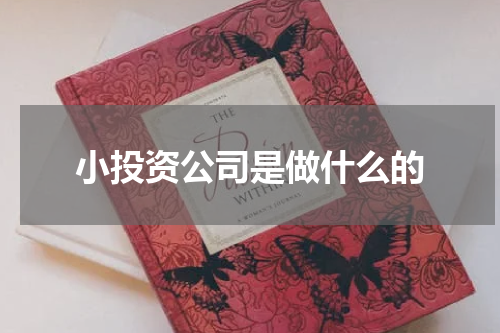 小投资公司是做什么的