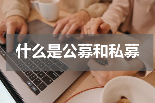 什么是公募和私募