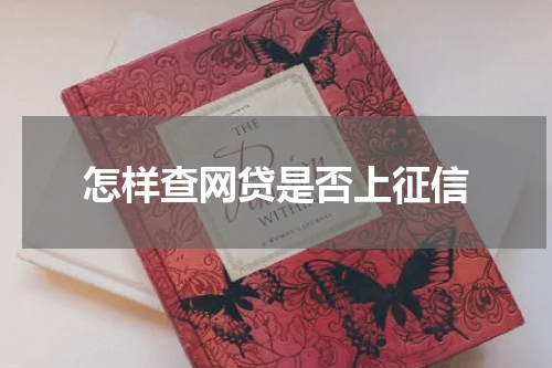 怎样查网贷是否上征信