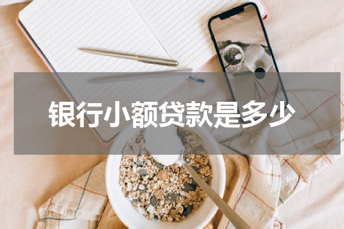 银行小额贷款是多少