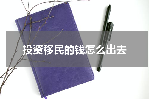 投资移民的钱怎么出去