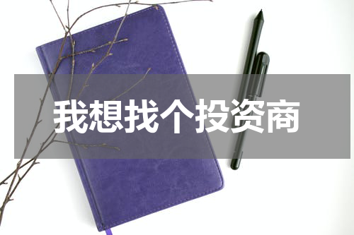我想找个投资商