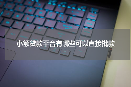 小额贷款平台有哪些可以直接批款