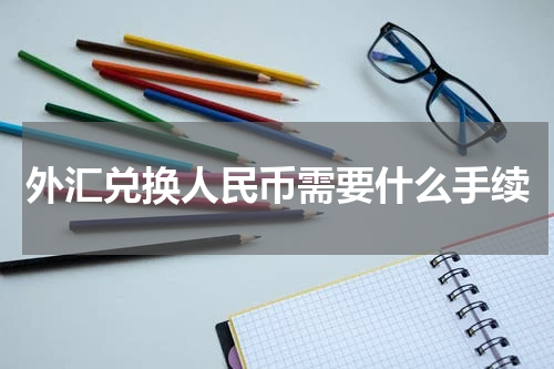 外汇兑换人民币需要什么手续