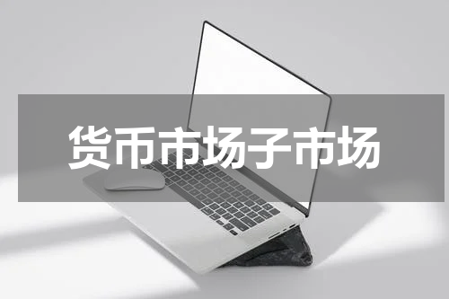 货币市场子市场