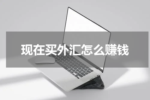 现在买外汇怎么赚钱