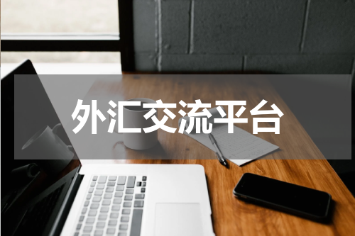 外汇交流平台