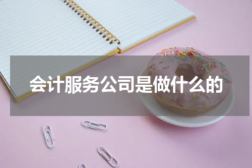 会计服务公司是做什么的
