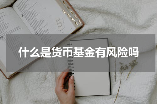 什么是货币基金有风险吗