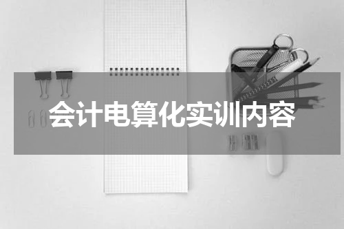 会计电算化实训内容