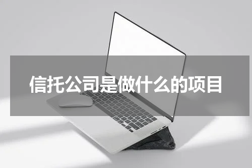 信托公司是做什么的项目