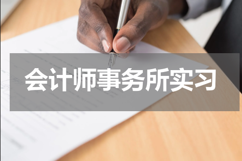 会计师事务所实习