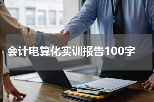 会计电算化实训报告100字