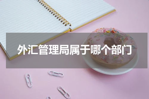 外汇管理局属于哪个部门
