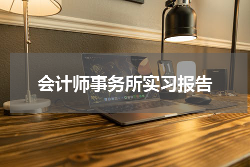会计师事务所实习报告