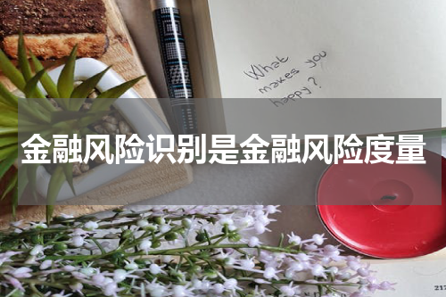 金融风险识别是金融风险度量