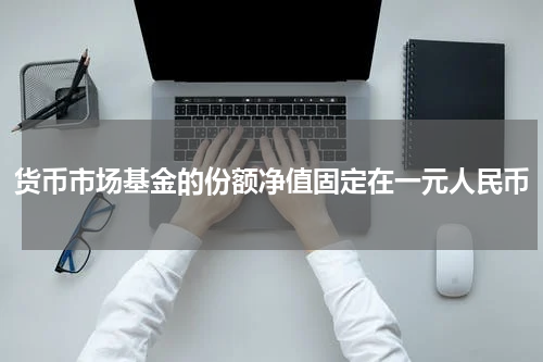 货币市场基金的份额净值固定在一元人民币