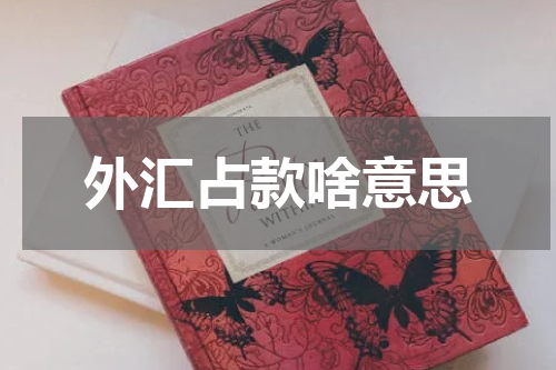 外汇占款啥意思