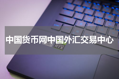中国货币网中国外汇交易中心