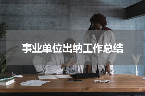 事业单位出纳工作总结