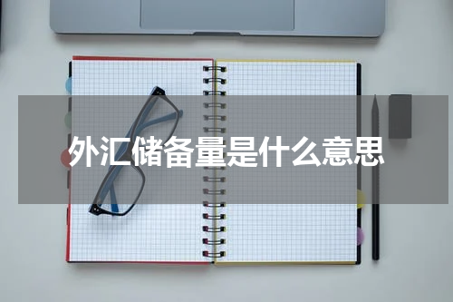 外汇储备量是什么意思