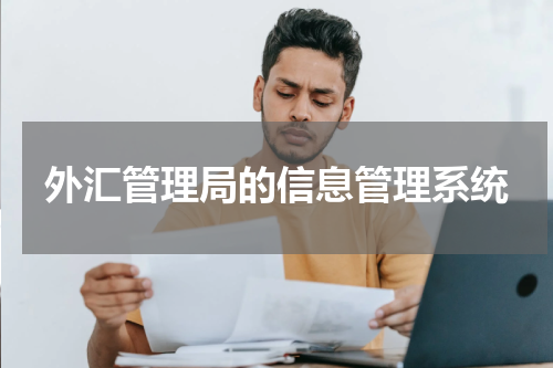 外汇管理局的信息管理系统