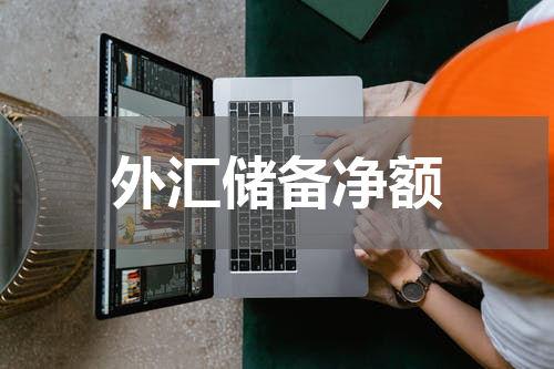 外汇储备净额