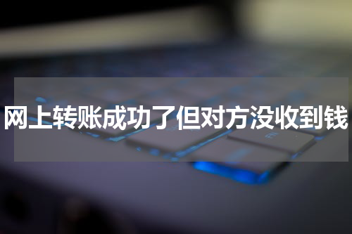 网上转账成功了但对方没收到钱