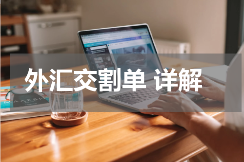 外汇交割单 详解