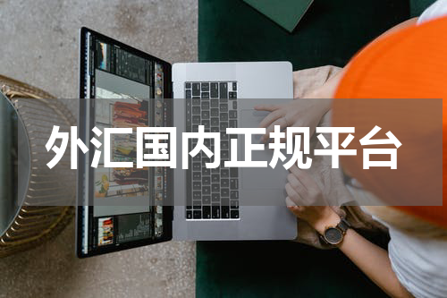 外汇国内正规平台