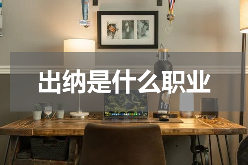 出纳是什么职业