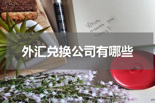 外汇兑换公司有哪些