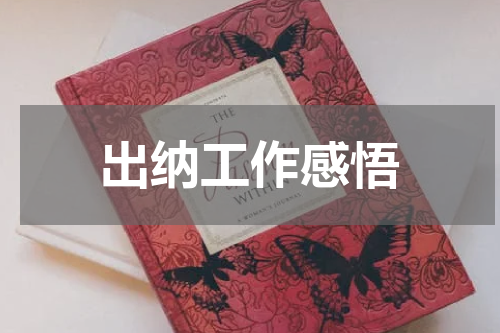 出纳工作感悟