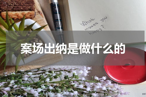 案场出纳是做什么的