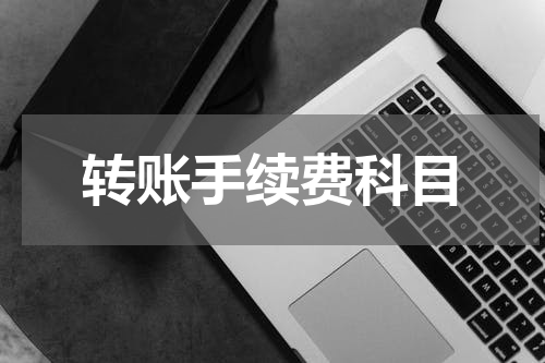 转账手续费科目