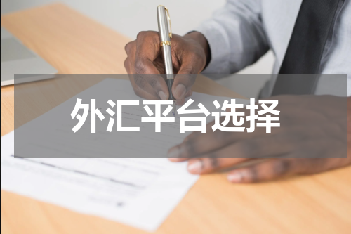 外汇平台选择