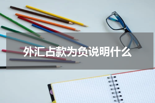 外汇占款为负说明什么