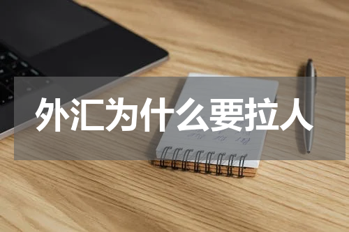 外汇为什么要拉人