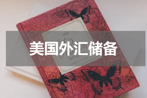 美国外汇储备