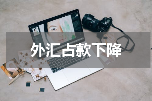 外汇占款下降