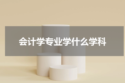 会计学专业学什么学科