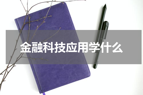 金融科技应用学什么