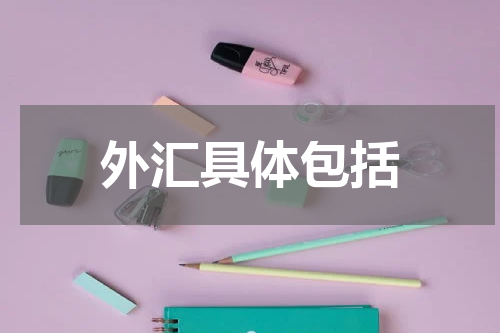 外汇具体包括