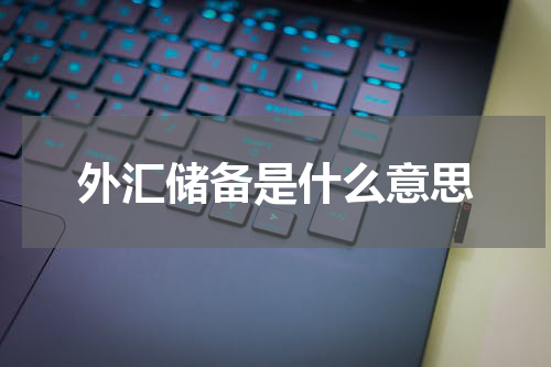 外汇储备是什么意思