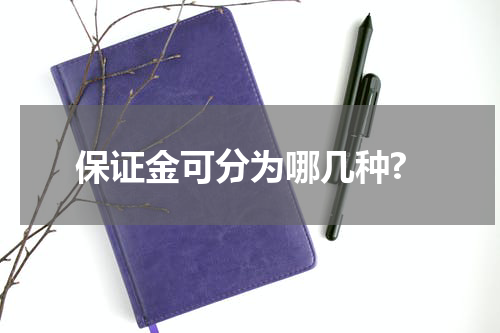 保证金可分为哪几种?