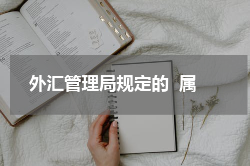 外汇管理局规定的  属