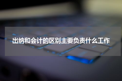 出纳和会计的区别主要负责什么工作