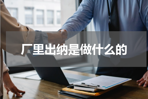厂里出纳是做什么的